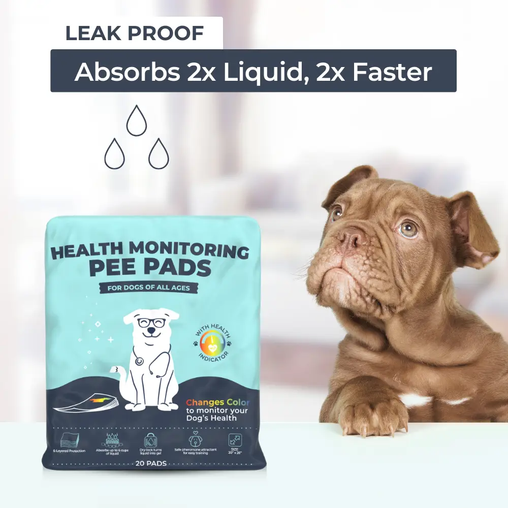 High absorption Pee Pads