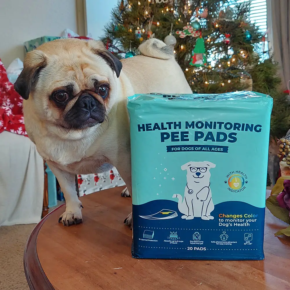 Health Monitoring Pee Pads for Dogs | Genius Litter