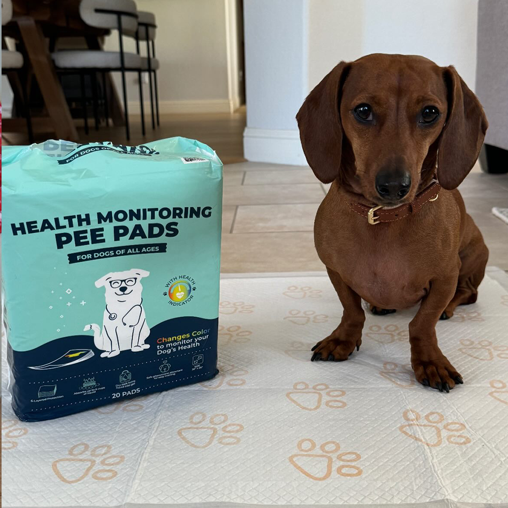 Health Monitoring Pee Pads for Dogs | Genius Litter