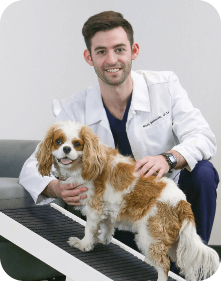 Veterinarians