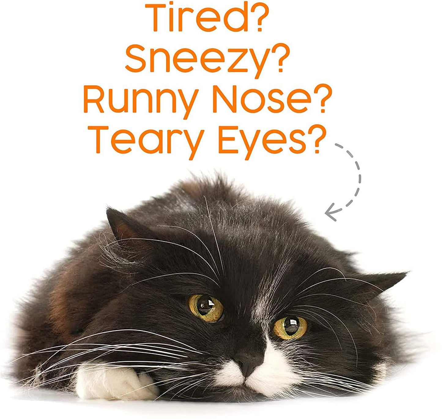 Cat L-Lysine - Genius Litter