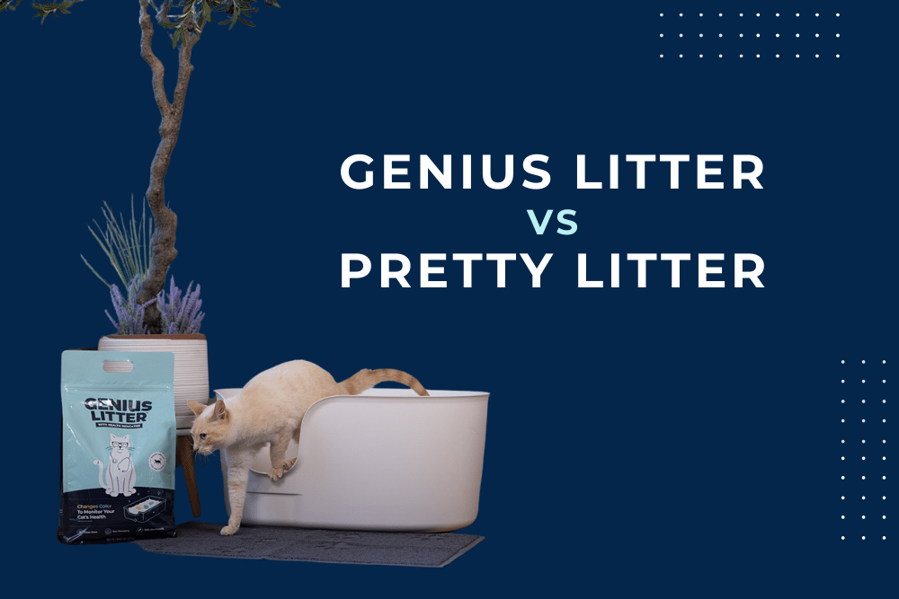 Genius Litter vs Pretty Litter Comparison