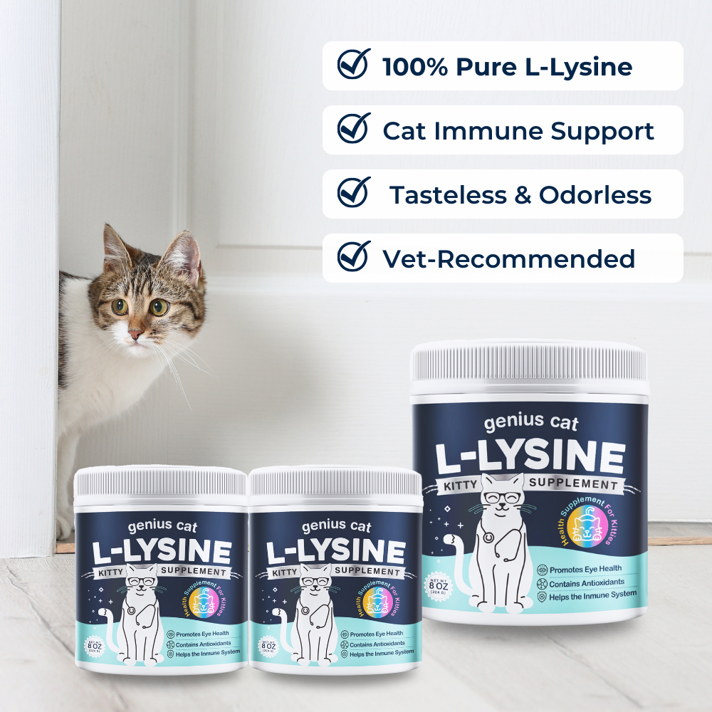 Lysine for Cats