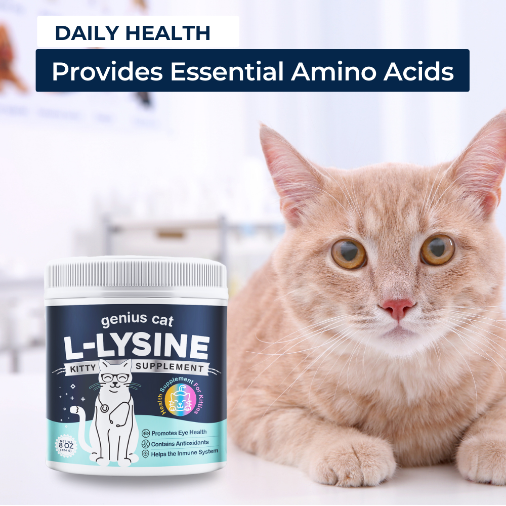 Boost Feline Immunity with Genius L-Lysine | Genius Litter