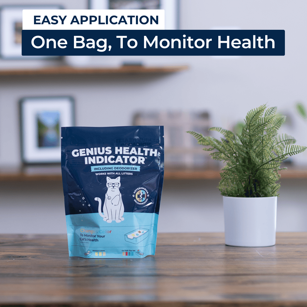One Bag to Monitor Health