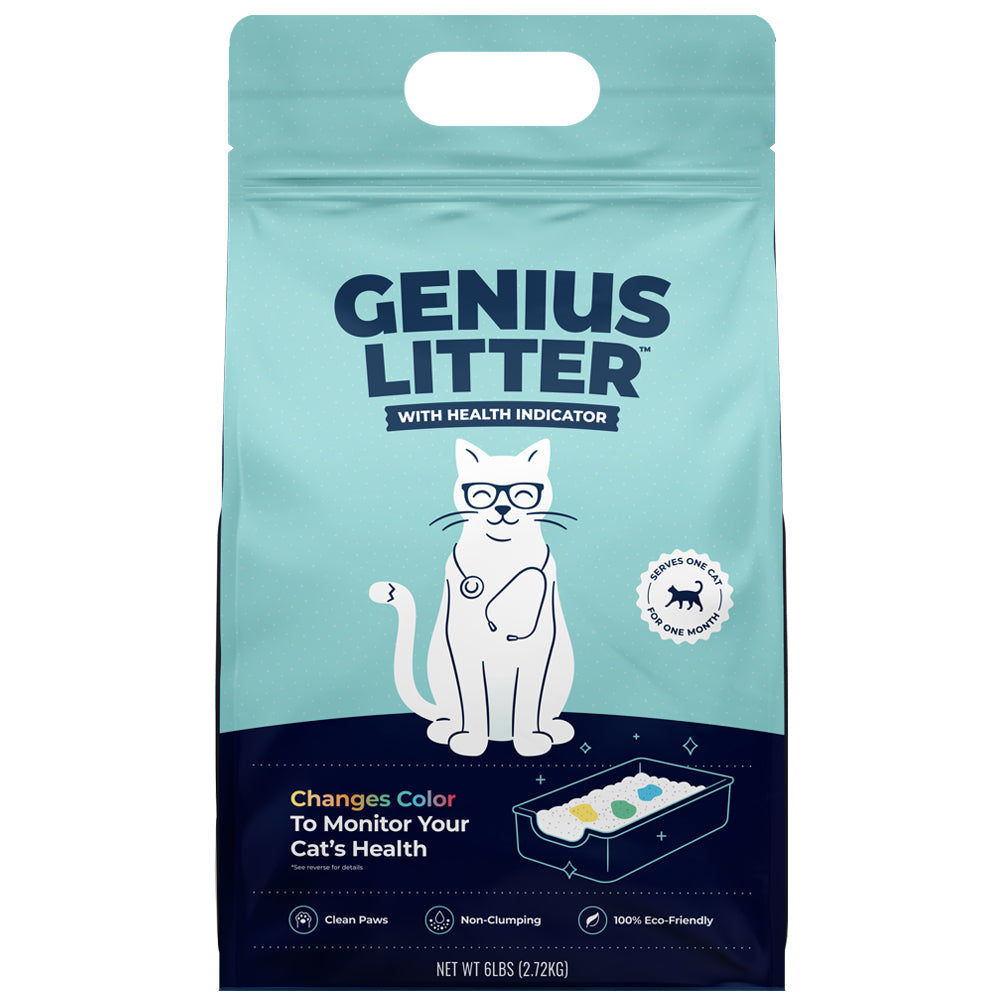 genius litter net worth