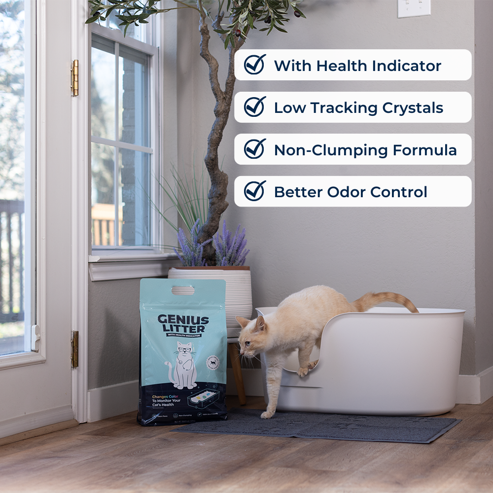 Color changing hot sale cat litter