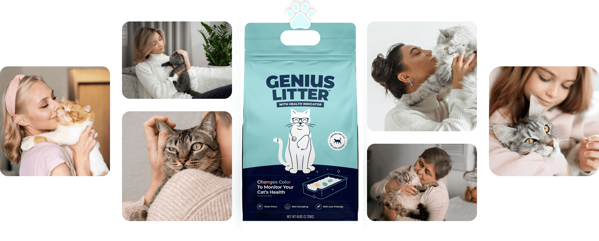 Alpha Paw - Genius Cat Litter, 5-Color Health Indicator, Odor Eliminating,  Non-Stick, Lightweight Crystals, Non-Clumping, High Absorption, Unscented 1  Cat