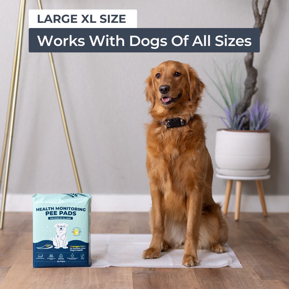 Health Monitoring Pee Pads for Dogs | Genius Litter